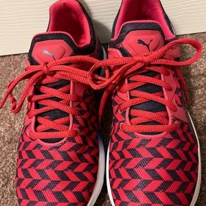 Puma Athletic Trainers